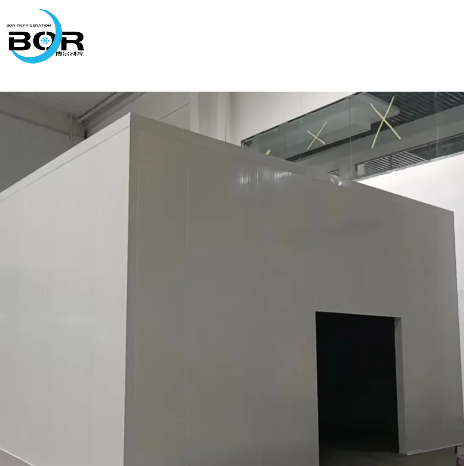 Conventional Prefabricated Cold Storage Facility