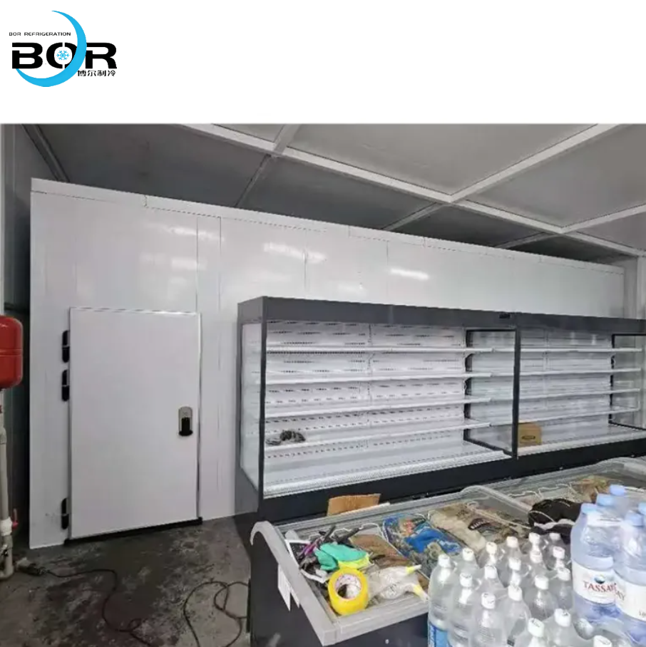 Conventional Prefabricated Cold Storage Facility