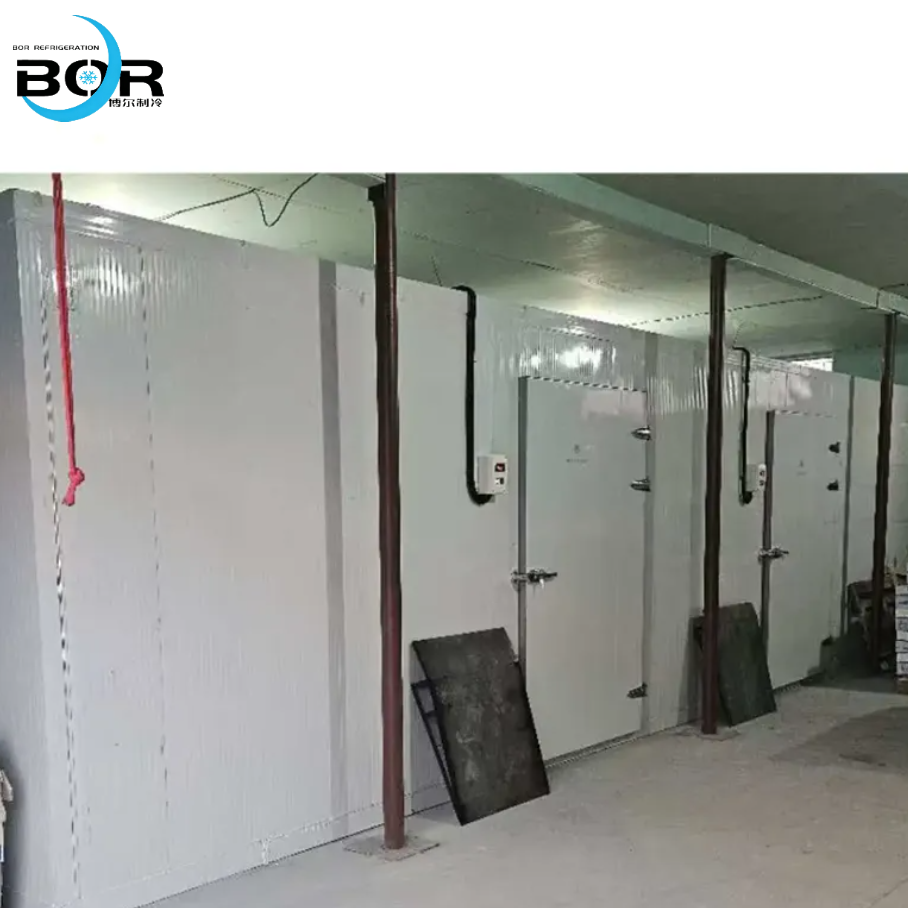 Conventional Prefabricated Cold Storage Facility