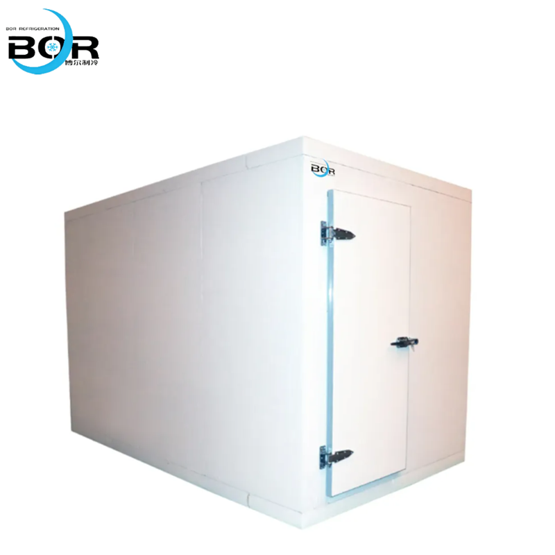 Standard Small Cold Storage Facility