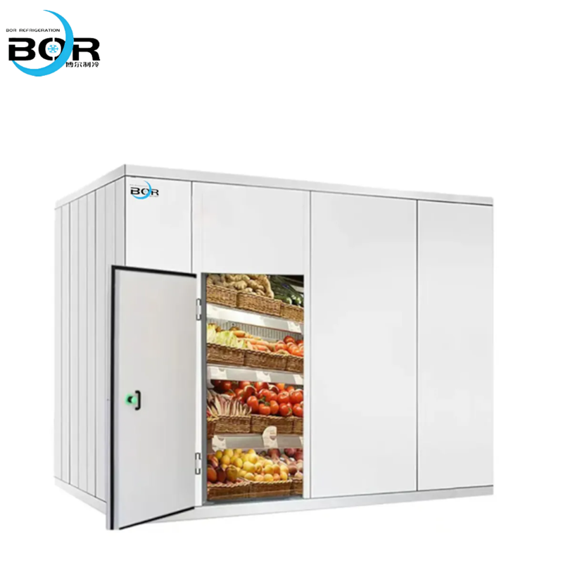 Standard Small Cold Storage Facility