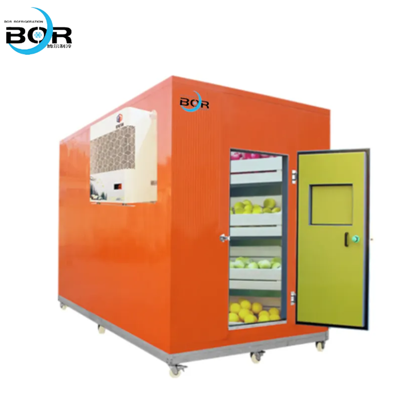 Standard Small Cold Storage Facility