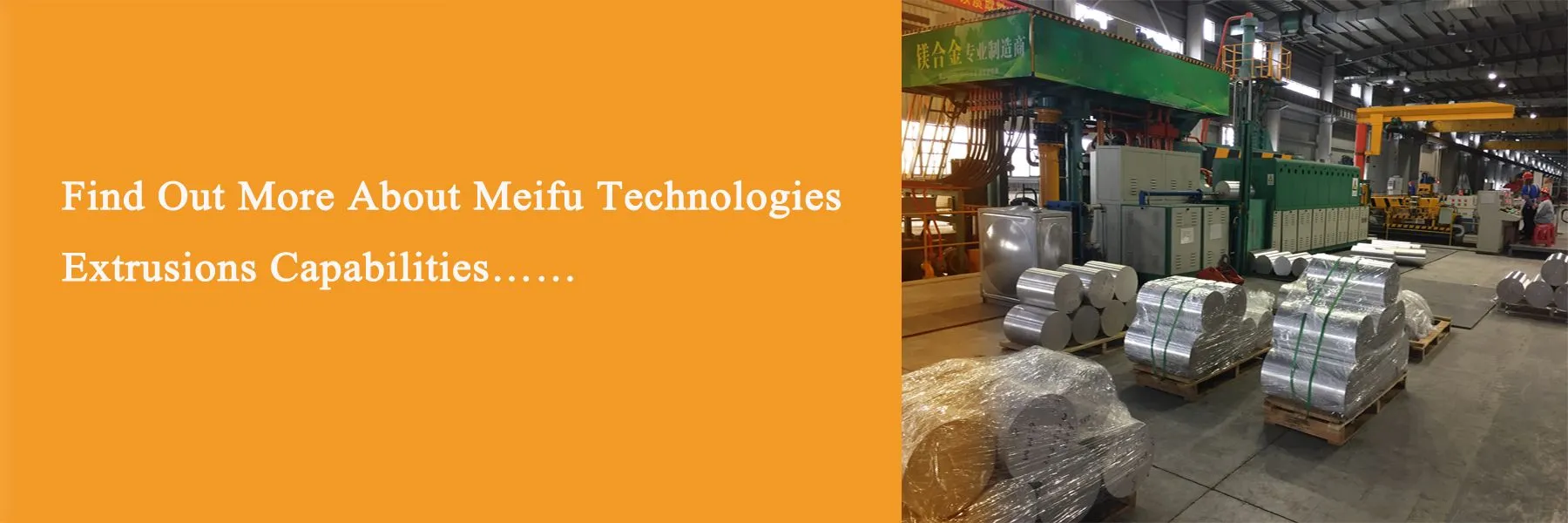 Magnesium alloy production line