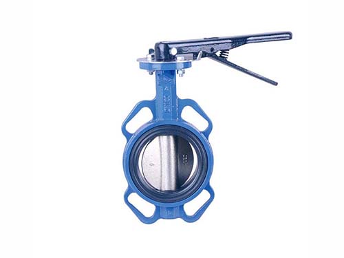 check valve