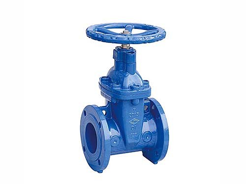 gate valve