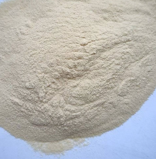 Polycarboxylate superplasticizer powder