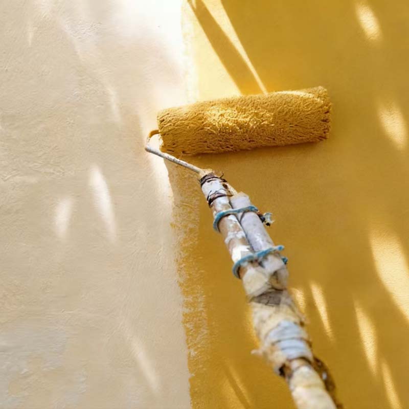 Exterior Wall Paint