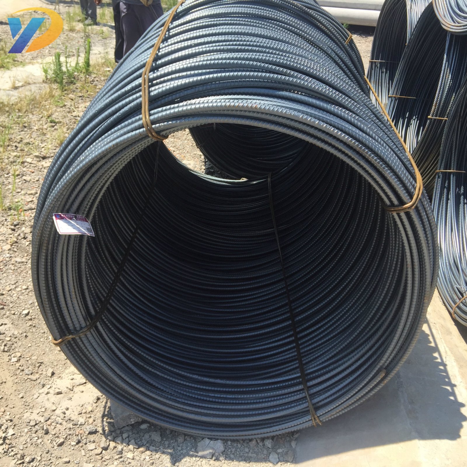 HRB500 Wire Rod