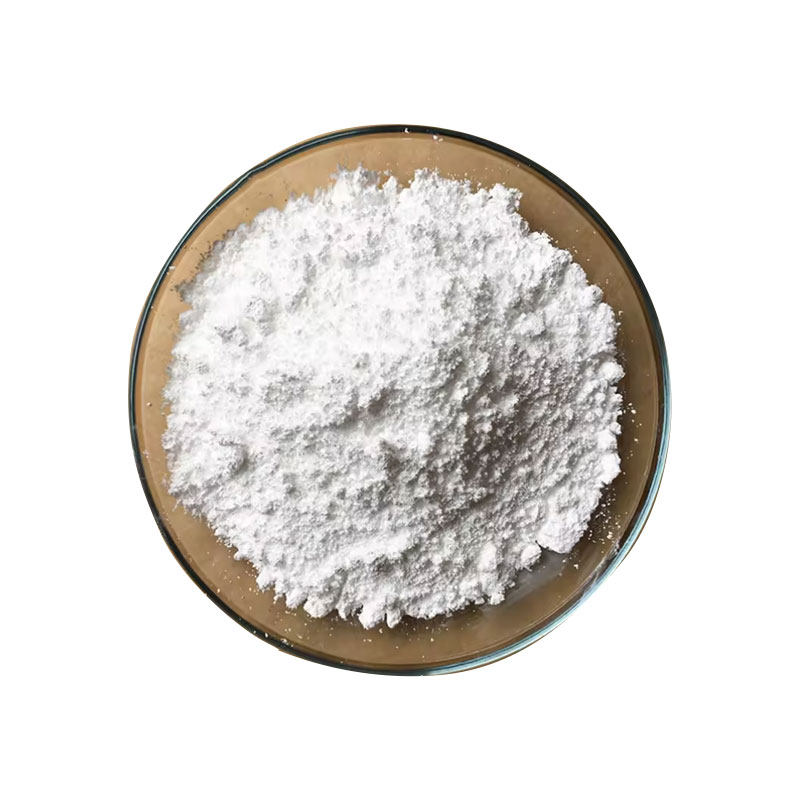 Natamycin 7681-93-8