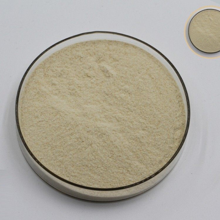 Xanthan Gum CAS#11138-66-2