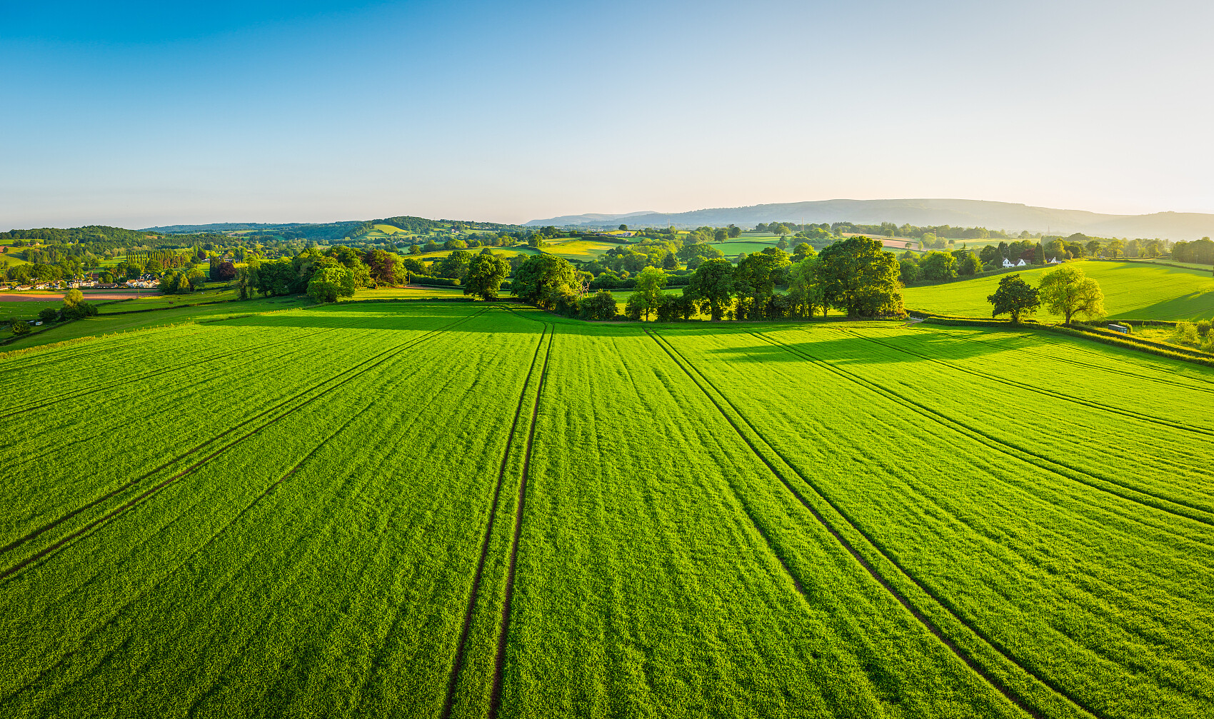 Some Information on Organic Farming