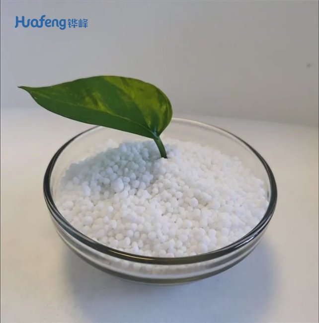 Calcium Ammonium Nitrate