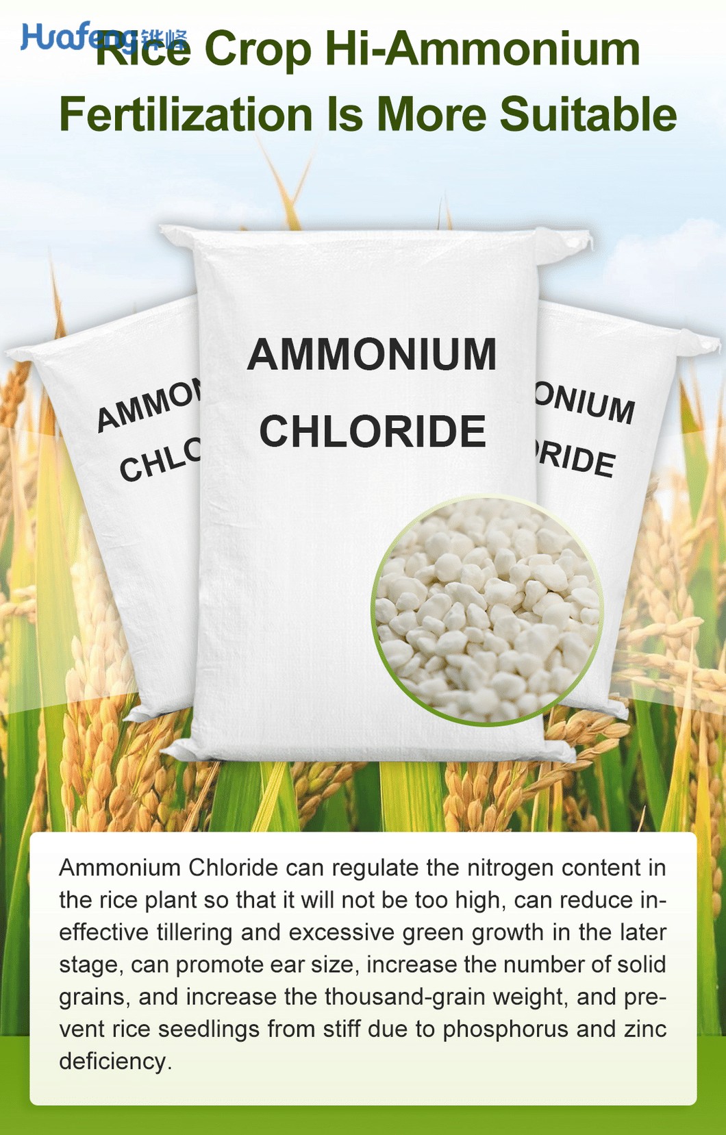 Best-Choice-Factory-Sales-99-5-Agricultural-and-Industrial-Grade-Granular-Ammonium-Chloride (2).png