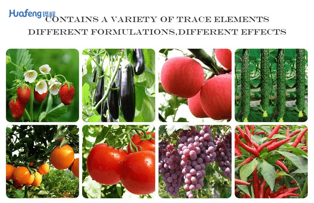Quality-20-Ssp-Made-in-China-Granular-Superphosphate-for-Various-Farm-Uses.png