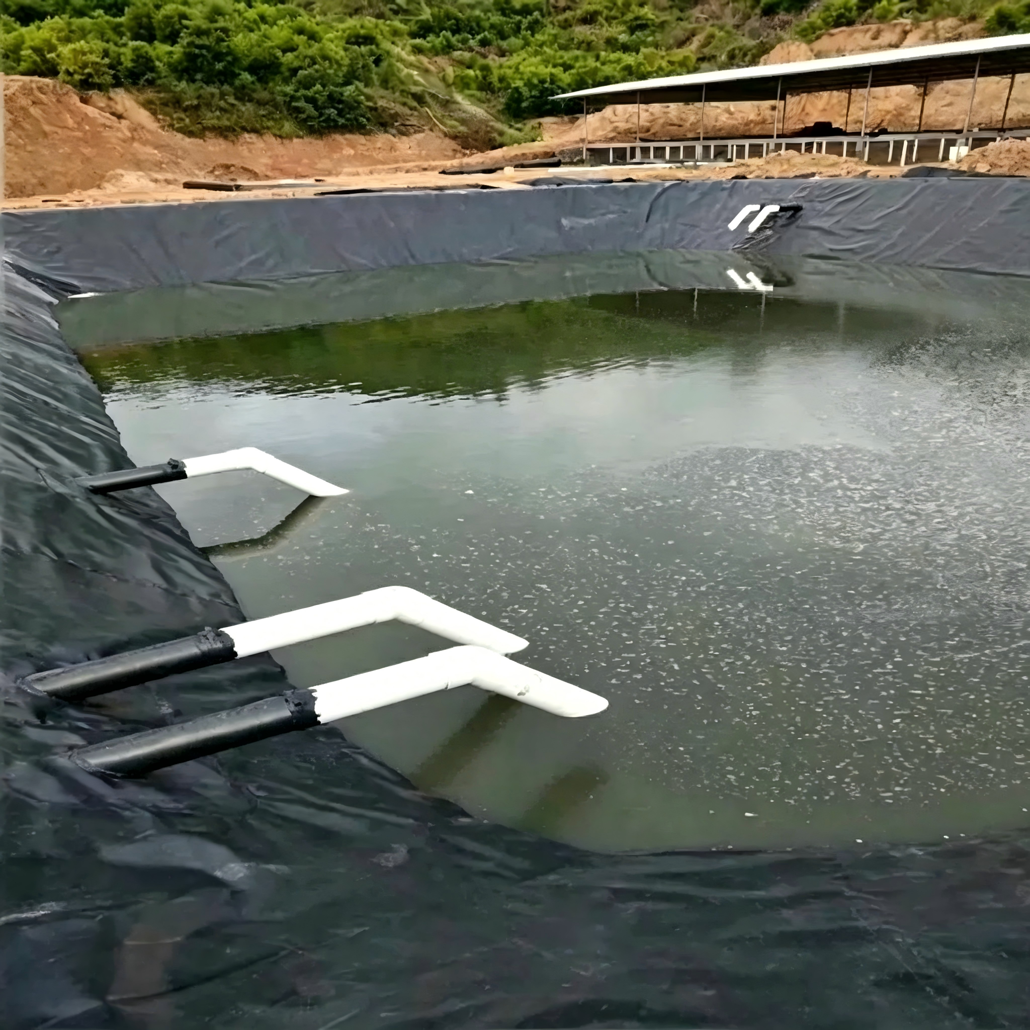 Fabricant de géomembranes HDPE PE/EVA/Ecb/PVC pour l'agriculture/réservoir