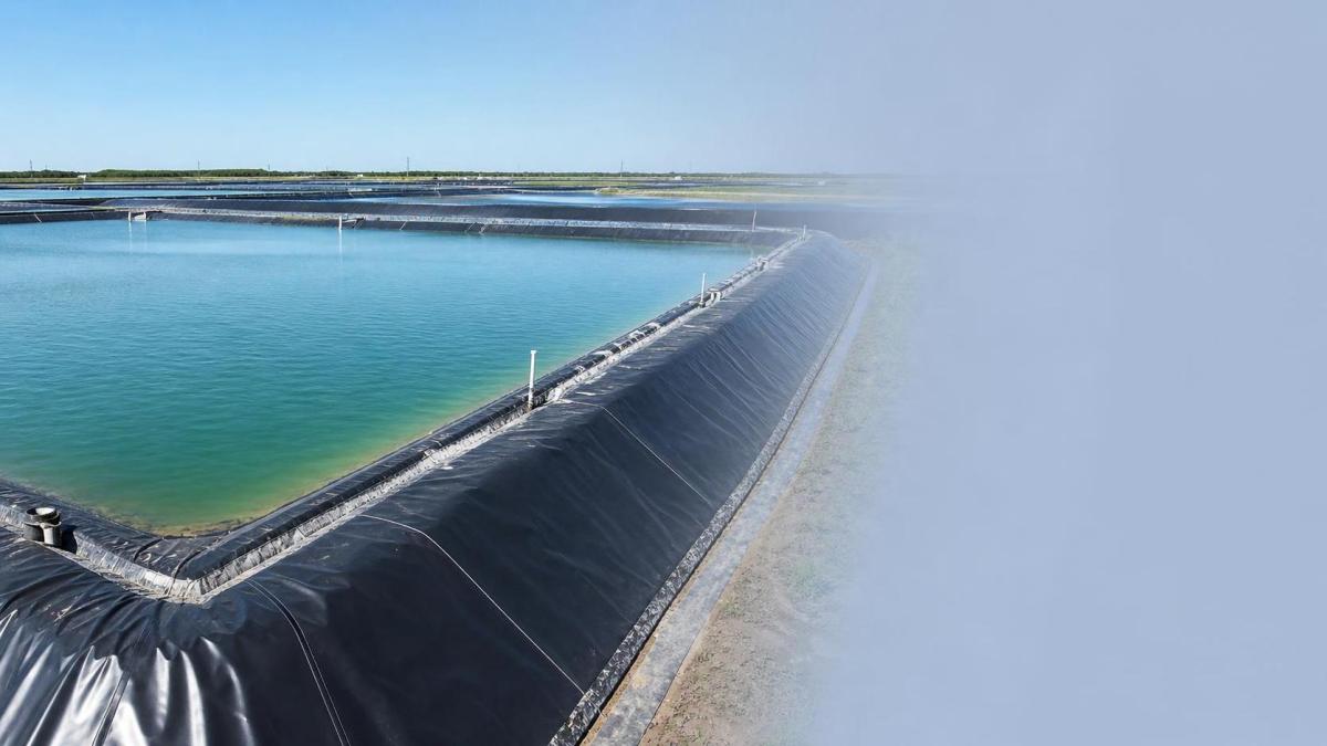 Fish Pond Liner for Shrimp and Fish Farms: How to Match Material to Water Conditions Fish Pond Liner for Shrimp and Fish Farms: How to Match Material to Water Conditions