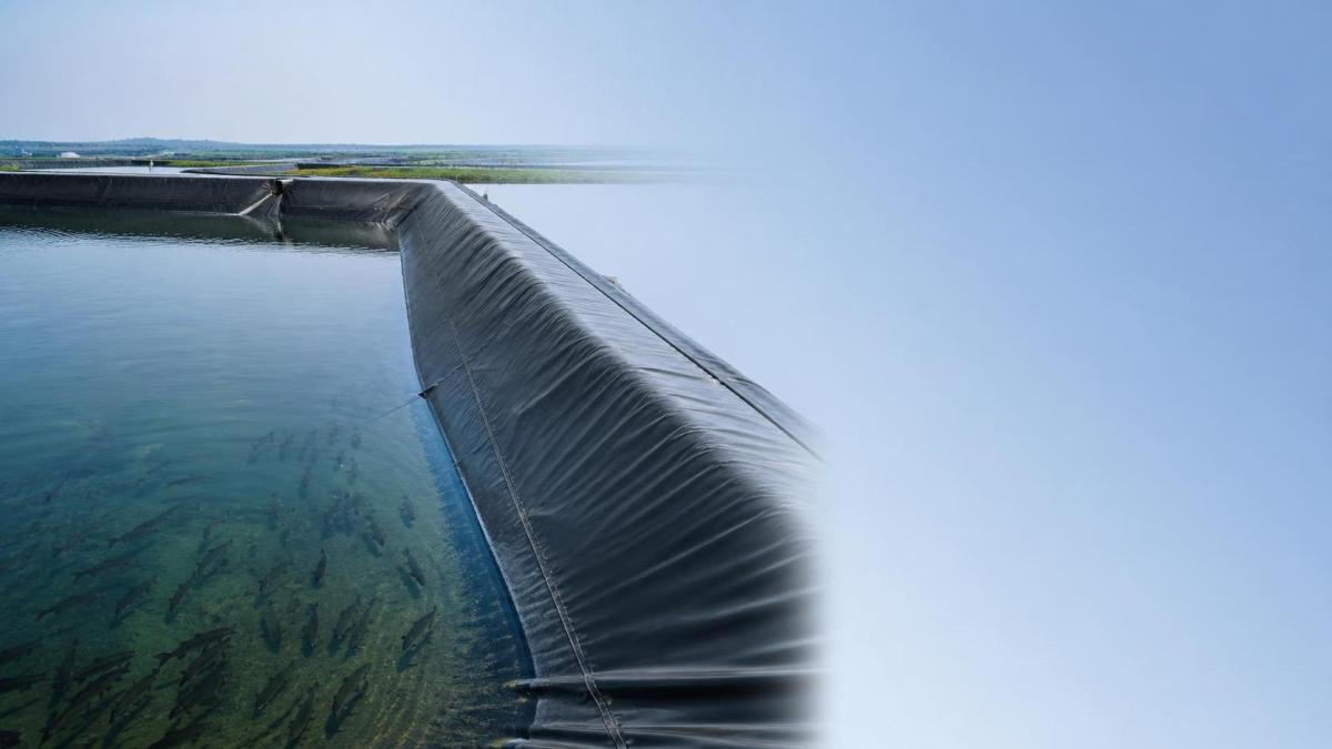 How Fish Pond Liner Quality Influences Water Loss, Cleaning, and Fish Health How Fish Pond Liner Quality Influences Water Loss, Cleaning, and Fish Health