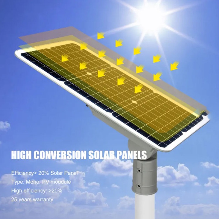 Integrated Solar Street Light