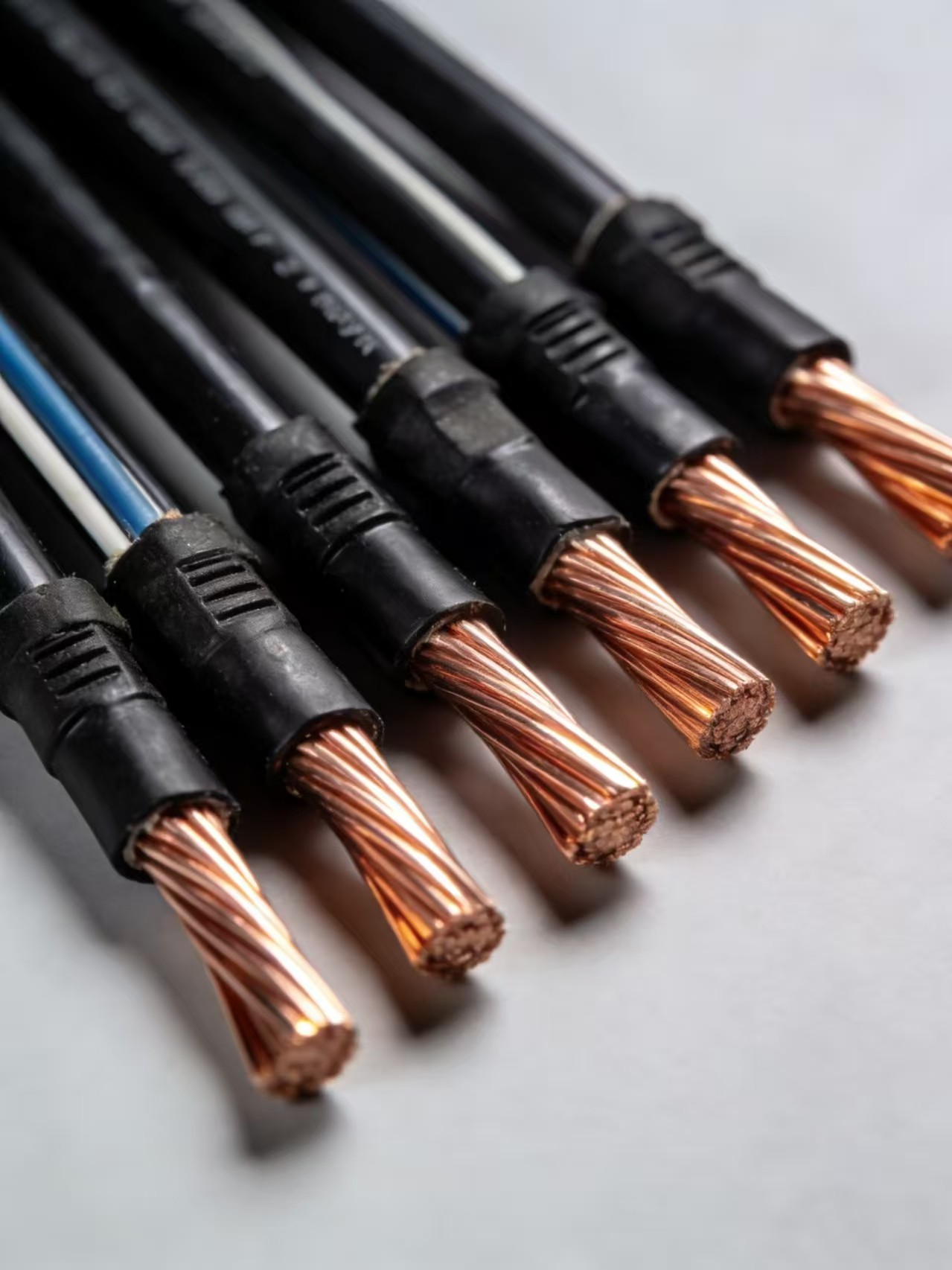 Control and Signal Cables