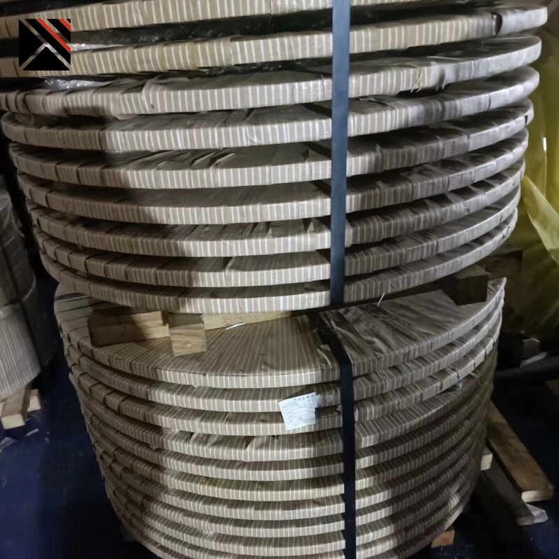 304 Stainless Strip