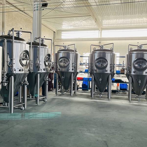 * Effective Volume=500L</br>* Total Volume=625L</br>* Sampling Valve</br>* Carbonation Valve </br>* CO2 blow off arm with Spunding Valve </br>* CIP Arm with 360° CIP ball & Pressure Gauge </br>* Dry Hops Adding port</br>* Dry Hops Adding device </br>* Rotary Racking Arm</br>* Lifting Lugs</br>* Beer outlet & Drain outlet