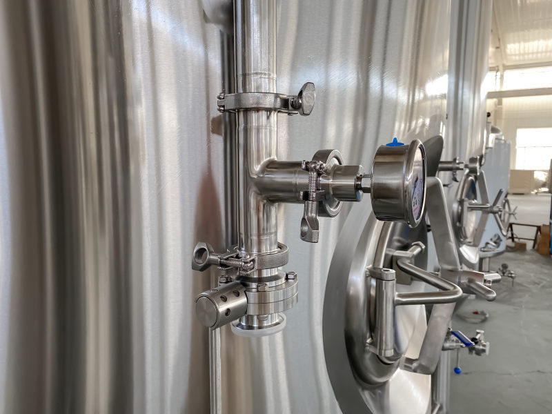 pressure gauge with back connection