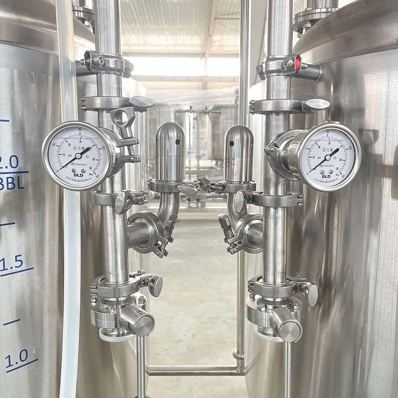 300L Dual Lagering Tank Stacked BBT