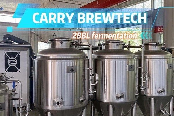 CARRY BREWTECH ·2BBL Fermentation Tanks