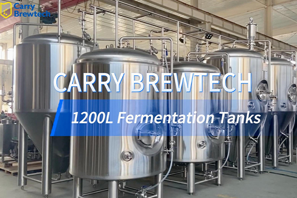 Carry Brewtech ·1200L Fermentation Tanks