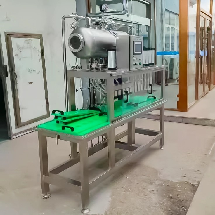 6-Head Beer Bottling System