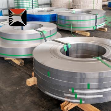 310 Stainless Strip