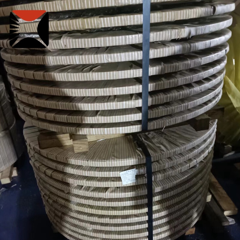 304 Stainless Strip