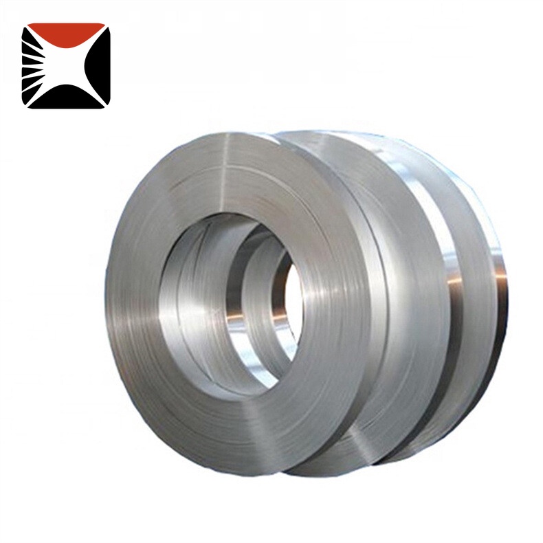 310 Stainless Strip