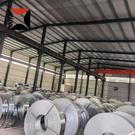 310 Stainless Strip