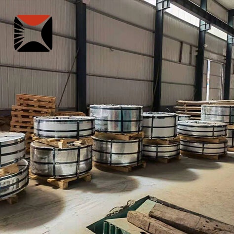 310 Stainless Strip