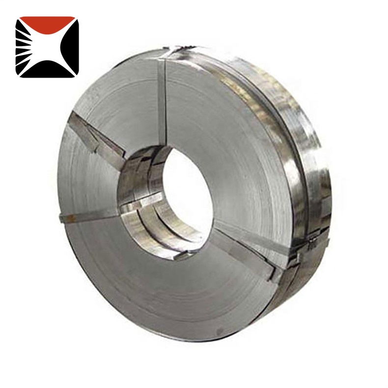 310 Stainless Strip
