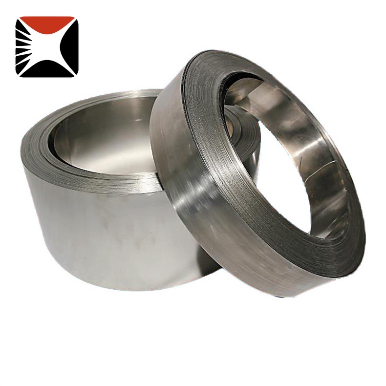 309 Stainless Strip
