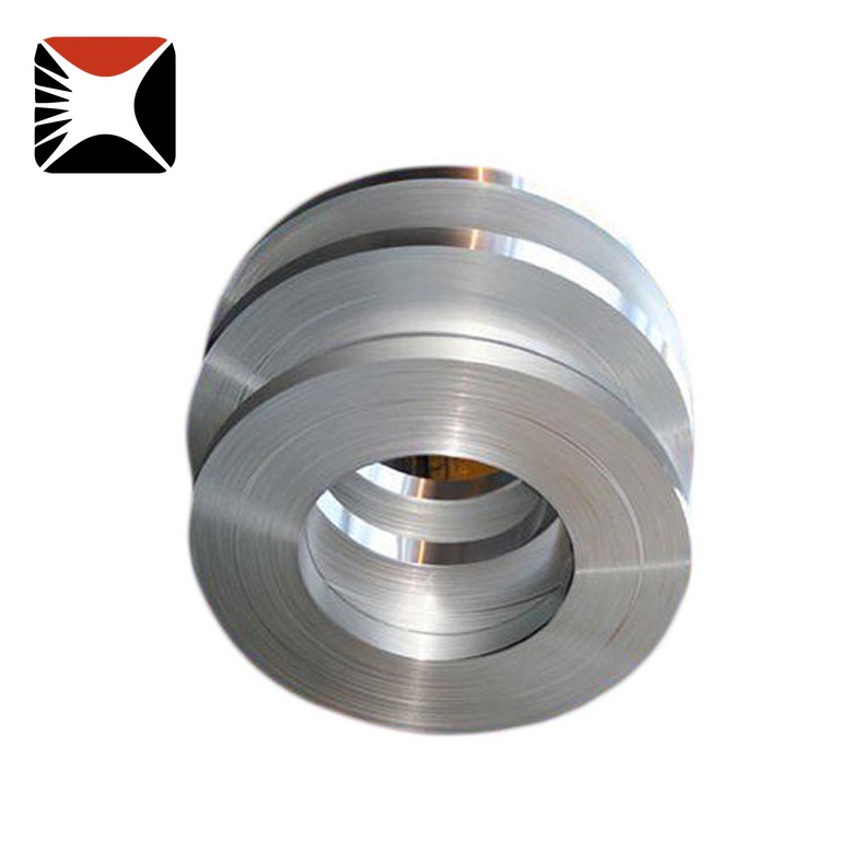 304 Stainless Strip