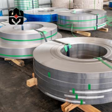 310 Stainless Strip