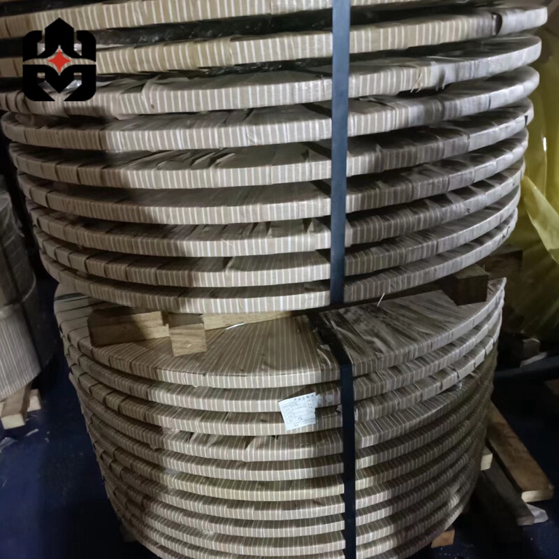 304 Stainless Strip