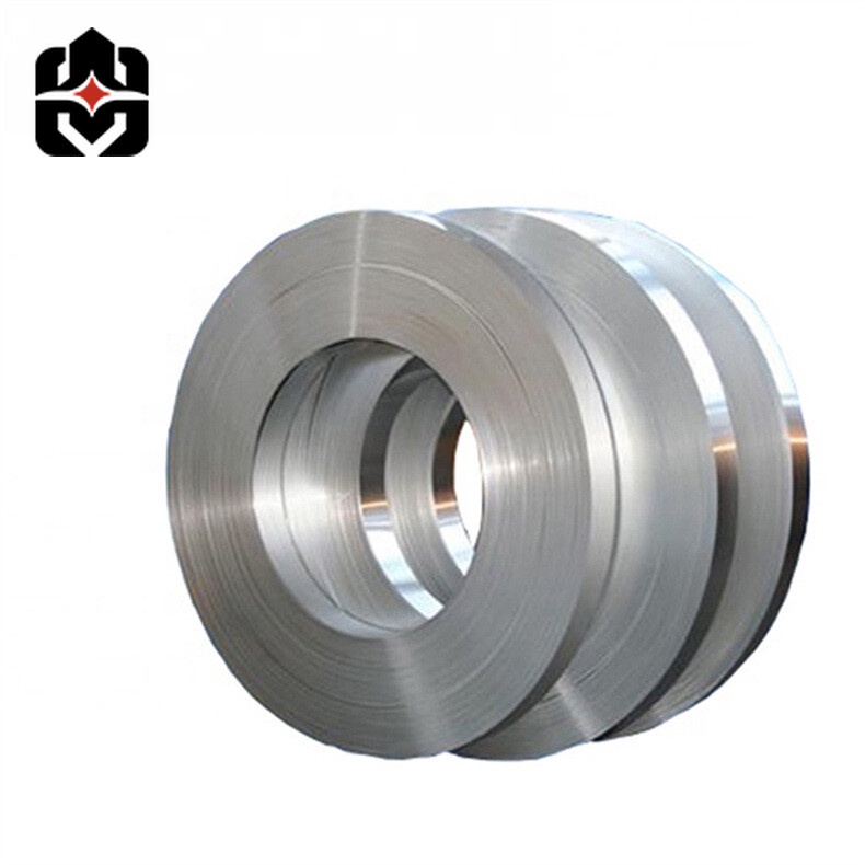 310 Stainless Strip