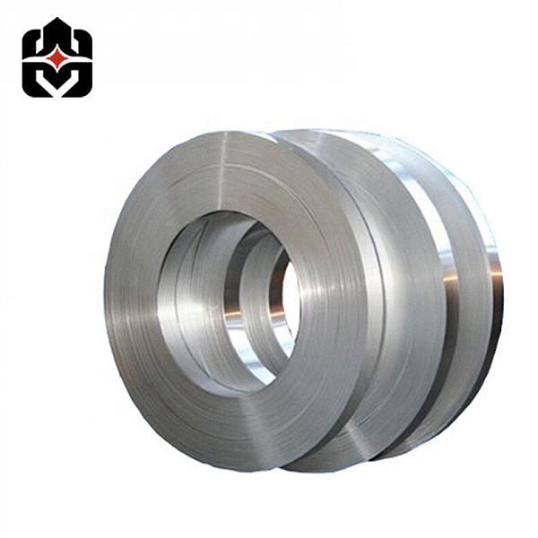310 Stainless Strip