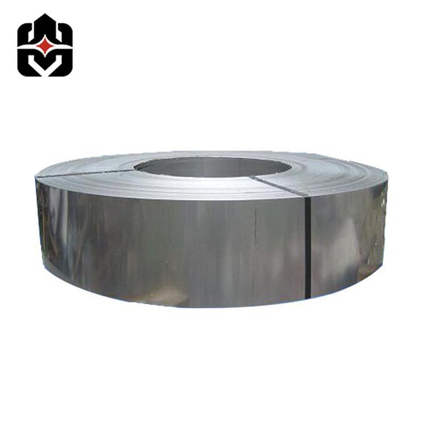 316 Stainless Strip