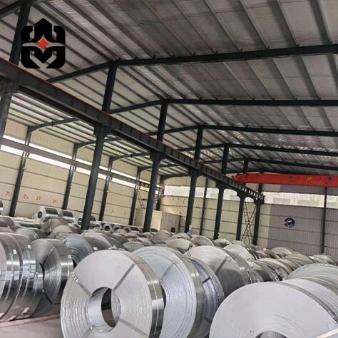 310 Stainless Strip