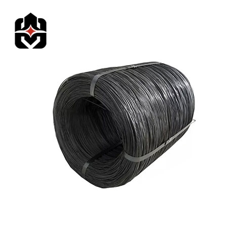 A53 Carbon Steel Wire