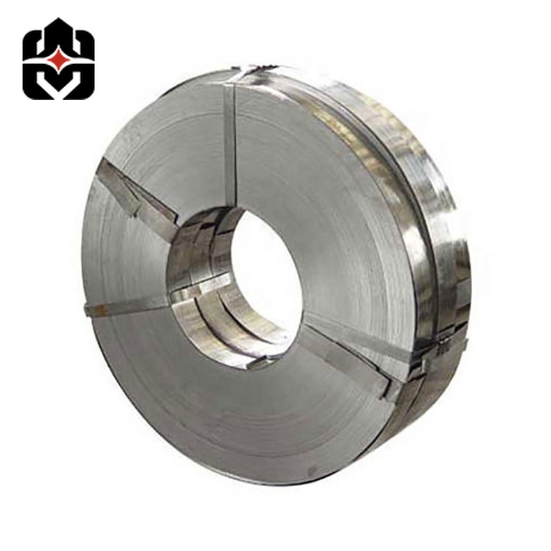 310 Stainless Strip