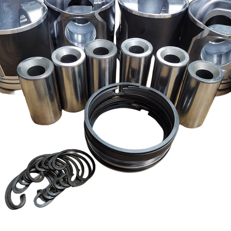 Kit de réparation piston cylindre 615 / WP10 1002582044