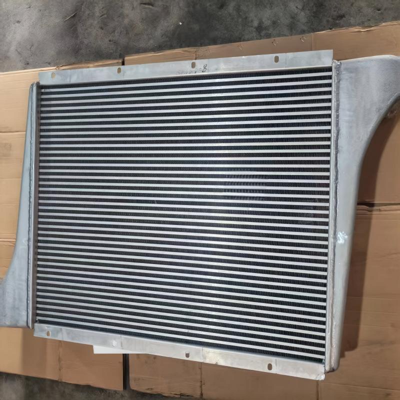 Ensemble refroidisseur d’air de suralimentation SINOTRUK HOWO WG9719530250 pour moteur WD615