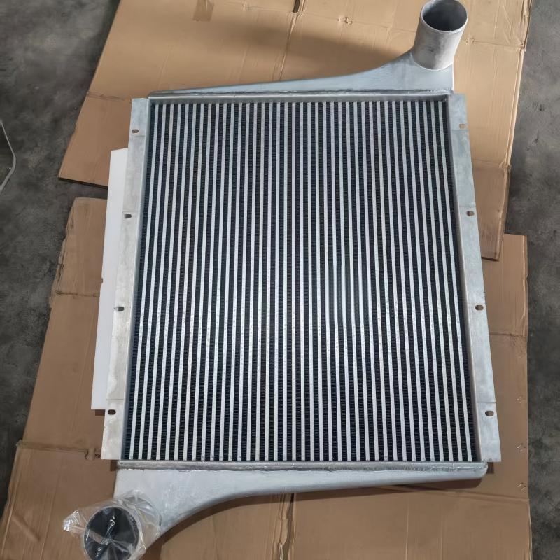 Ensemble refroidisseur d’air de suralimentation SINOTRUK HOWO WG9719530250 pour moteur WD615