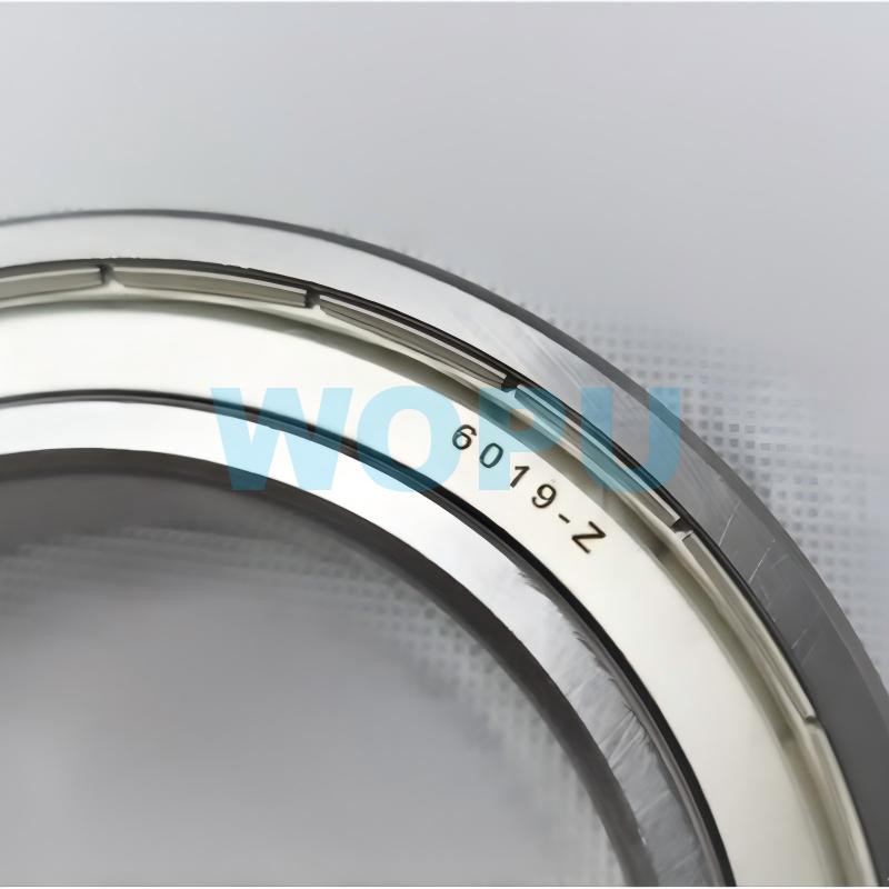 6019-Z / 190003310239 Roulement de différentiel arrière pour pièces détachées de camion SINOTRUK HOWO Steyr